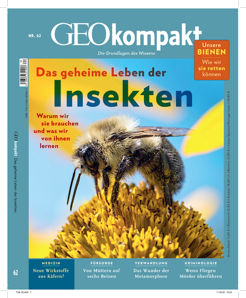 GEOkompakt / GEOkompakt 62/2020 - Das geheime Leben der Insekten - Jens Schröder, Markus Wolff