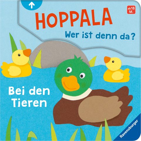 Hoppala, wer ist denn da? Bei den Tieren - Kathrin Lena Orso