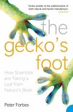 Gecko's Foot -  Peter Forbes