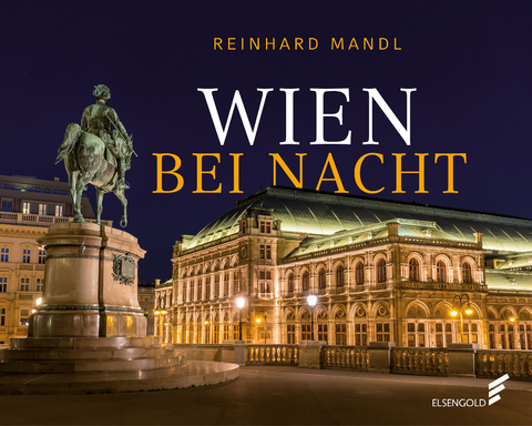 Wien bei Nacht - Reinhard Mandl