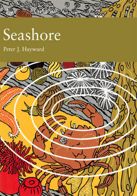 Seashore -  Peter J. Hayward