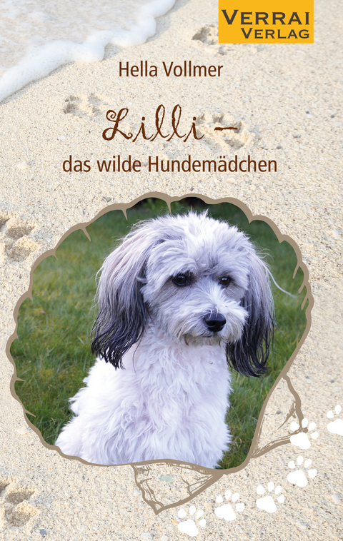 Lilli - das wilde Hundemädchen - Hella Vollmer