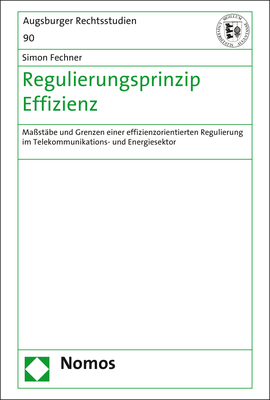 Regulierungsprinzip Effizienz - Simon Fechner