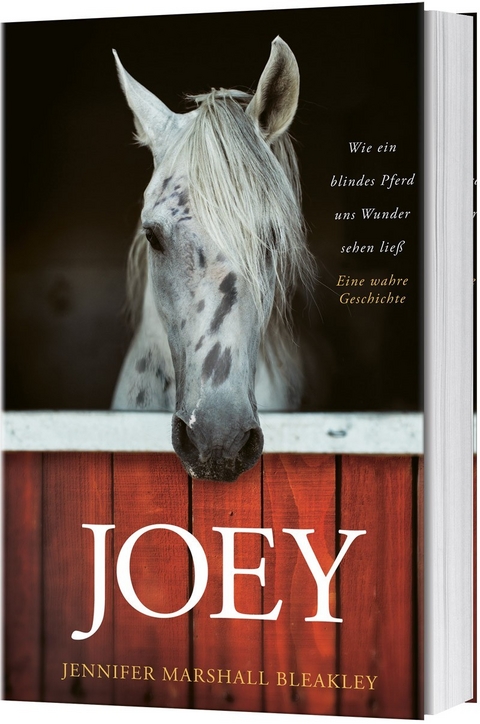 Joey - Wie ein blindes Pferd uns Wunder sehen ließ - Jennifer Marshall Bleakley