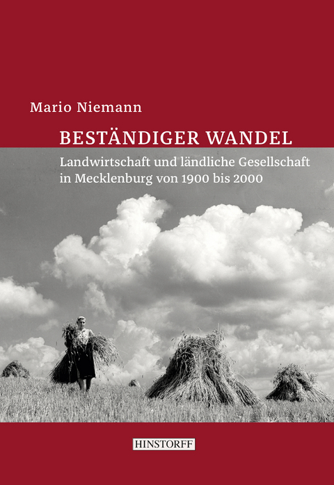 Beständiger Wandel - Mario Niemann