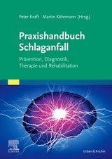 Praxishandbuch Schlaganfall - 