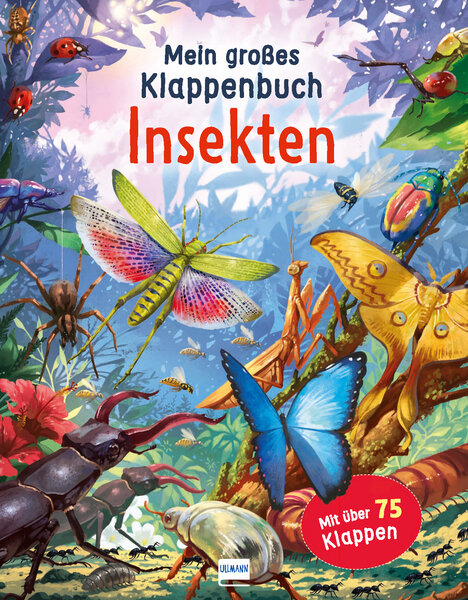 Mein großes Klappenbuch - Insekten - Rod Green