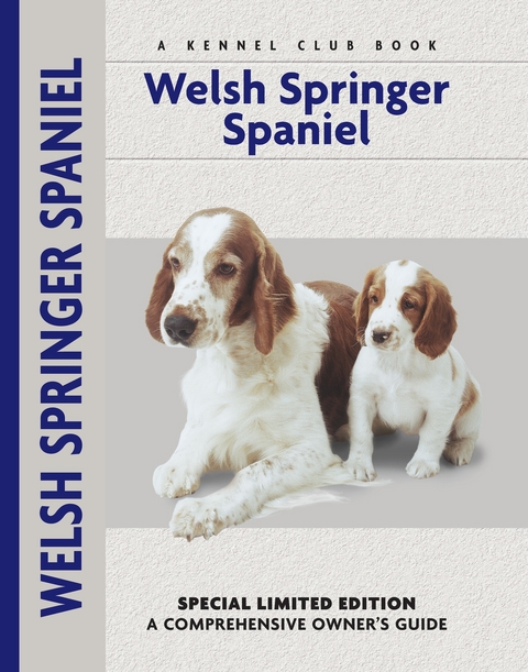 Welsh Springer Spaniel - Haja Van Wessem