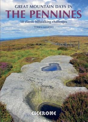 Great Mountain Days in the Pennines -  Terry Marsh