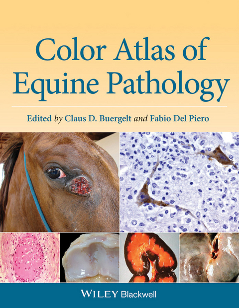 Color Atlas of Equine Pathology - 