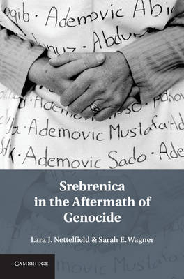 Srebrenica in the Aftermath of Genocide -  Lara J. Nettelfield,  Sarah E. Wagner