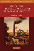 British Industrial Revolution in Global Perspective -  Robert C. Allen