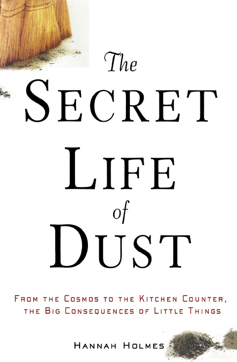The Secret Life of Dust - Hannah Holmes