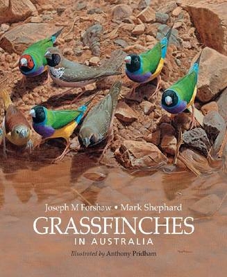 Grassfinches in Australia -  Joseph M Forshaw,  Mark Shephard OAM,  Anthony Pridham