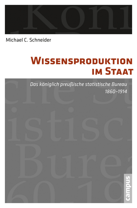 Wissensproduktion im Staat -  Michael C. Schneider