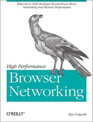 High Performance Browser Networking -  Ilya Grigorik