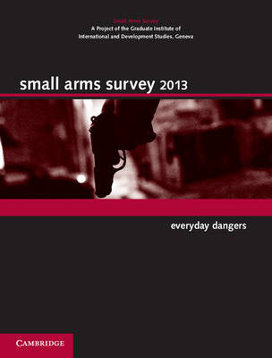 Small Arms Survey 2013 -  Geneva Small Arms Survey