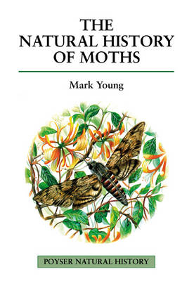 The Natural History of Moths -  Mark Young