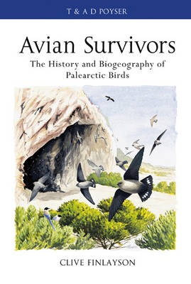 Avian survivors -  Finlayson Clive Finlayson