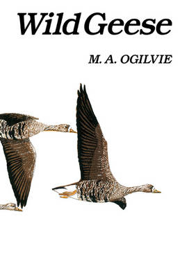 Wild Geese -  M. A. Ogilvie