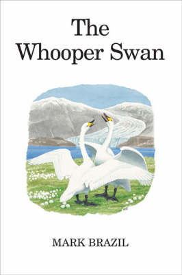 The Whooper Swan -  Mark Brazil