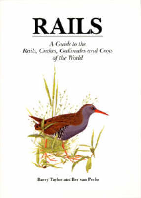 Rails -  Barry Taylor