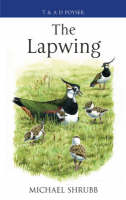 The Lapwing -  Michael Shrubb