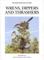 Wrens, Dippers and Thrashers -  David Brewer