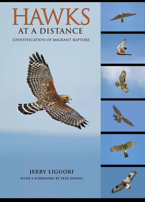 Hawks at a Distance -  Jerry Liguori