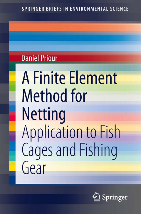Finite Element Method for Netting -  Daniel Priour