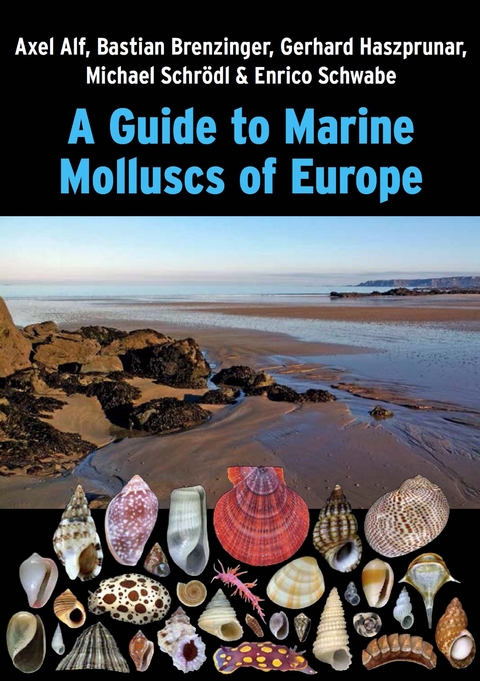 A Guide to Marine Molluscs of Europe - Axel Alf, Bastian Brenzinger, Gerhard Haszprunar, Michael Schrödl, Enrico Schwabe