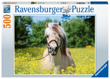Pferd im Rapsfeld (Puzzle)