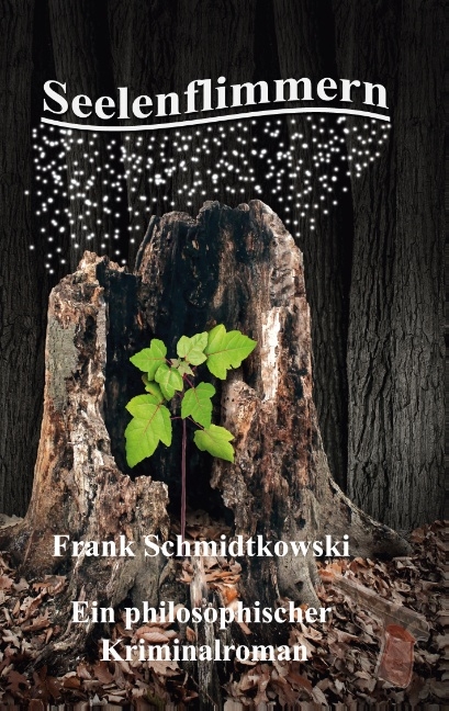 Seelenflimmern - Frank Schmidtkowski