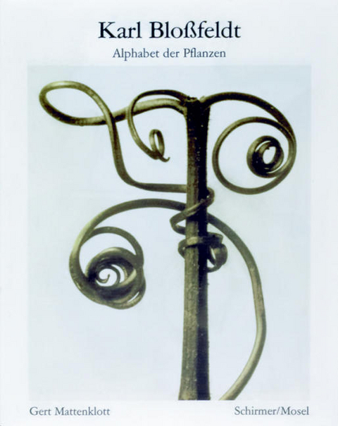 Alphabet der Pflanzen - Karl Bloßfeldt