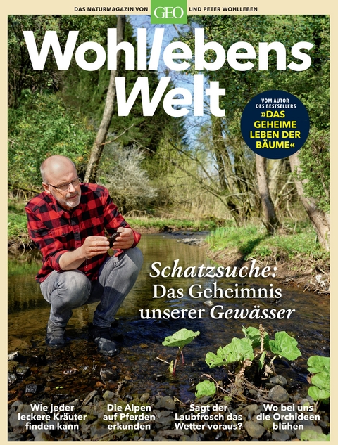 Wohllebens Welt / Wohllebens Welt 6/2020 - Schatzsuche: Das Geheimnis unserer Gewässer - Peter Wohlleben