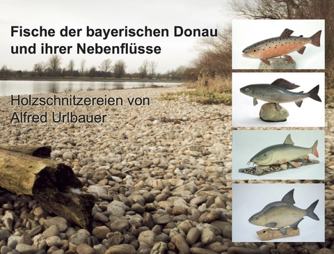 Fische der bayerischen Donau und ihrer Nebenflüsse - Alfred Urlbauer