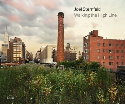 Walking the High Line - Joel Sternfeld