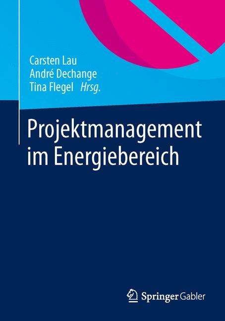 Projektmanagement im Energiebereich - 