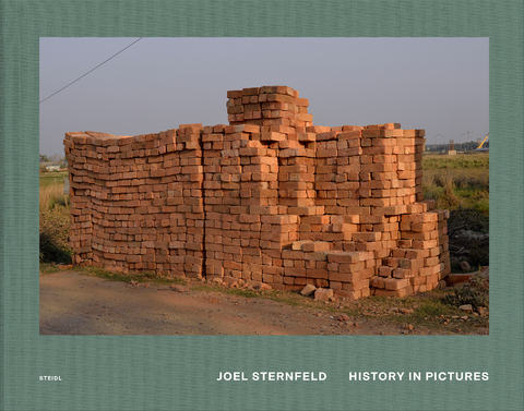 History in Pictures - Joel Sternfeld