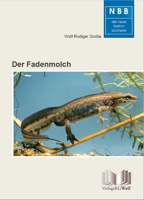 Der Fadenmolch - Wolf-Rüdiger Große