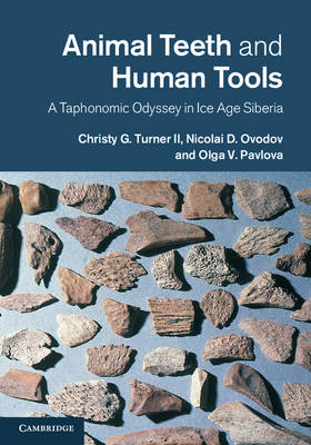 Animal Teeth and Human Tools -  Christy G. Turner II,  Nicolai D. Ovodov,  Olga V. Pavlova
