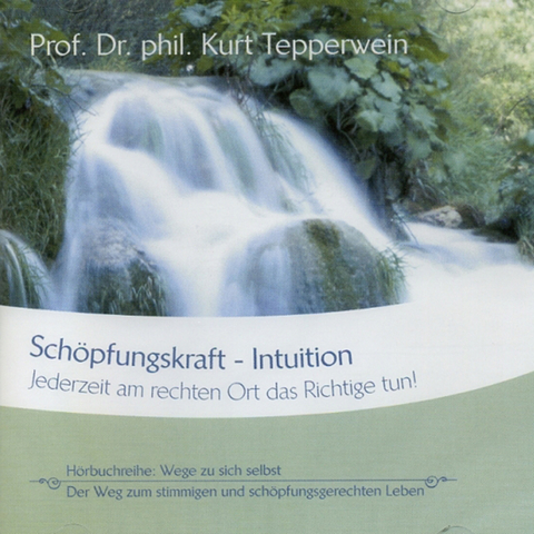 Schöpfungskraft Intuition - Kurt Tepperwein