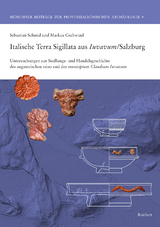 Italische Terra Sigillata aus Iuvavum/Salzburg - Sebastian Schmid, Markus Gschwind