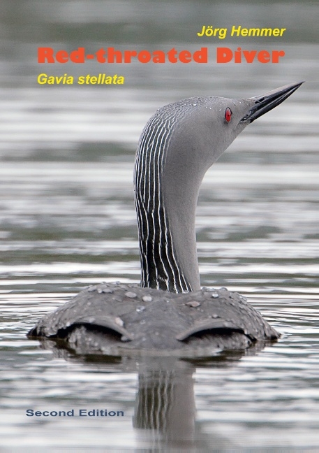 Red-throated Diver - Jörg Hemmer