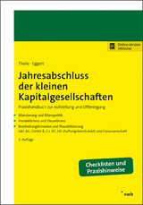 Jahresabschluss der kleinen Kapitalgesellschaften - Theile, Carsten; Eggert, Wolfgang