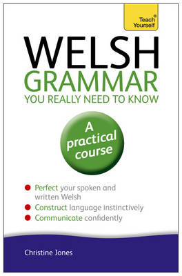 Welsh Grammar You Really Need to Know: Teach Yourself -  Christine Jones