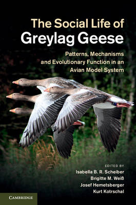 Social Life of Greylag Geese - 