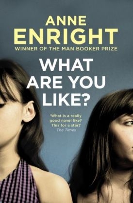 What Are You Like -  Anne Enright