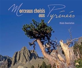 MORCEAUX CHOISIS AUX PYRENEES -  BOURNETON ALAIN