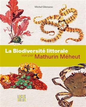 La biodiversité littorale vue par Mathurin Méheut : l'art au service de la biologie marine - Michel Glémarec